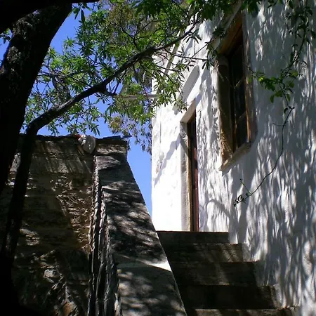 Traditional Guest House 